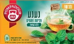 פומפדור חליטה צמחים נענע