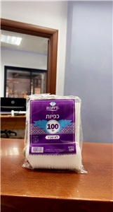 כפיות פלסטיק 1/100