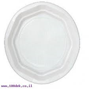 חד פעמי צלחות פלסטיק גדול 1/50